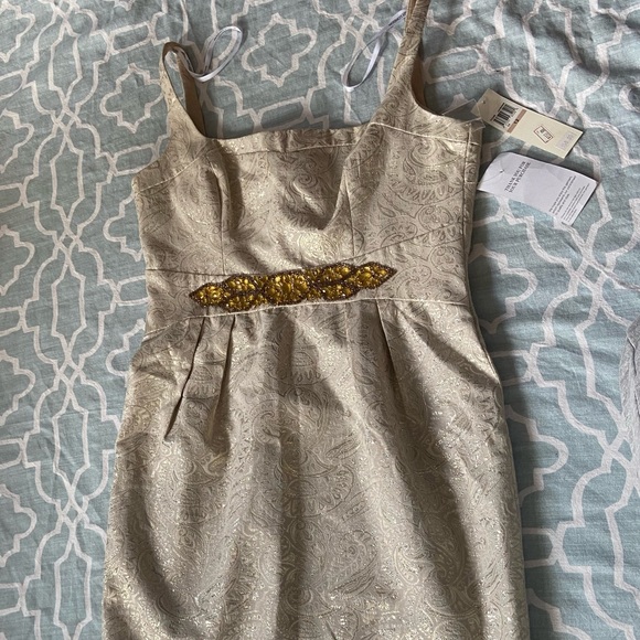 Cream and Gold Dress - Picture 4 of 9